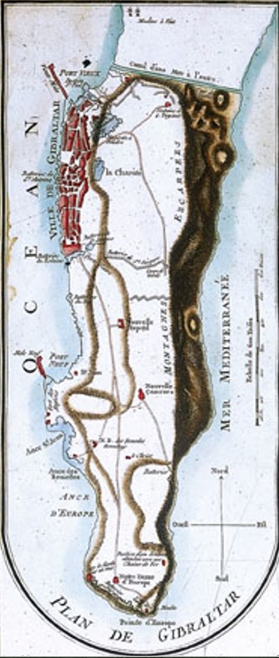 Miniatura de la imagen de la cartela