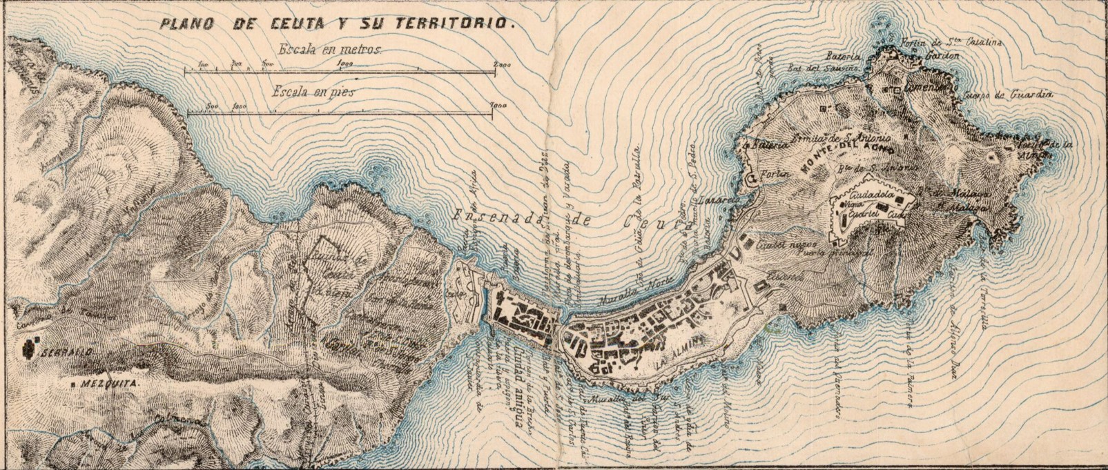 Miniatura de la imagen de la cartela