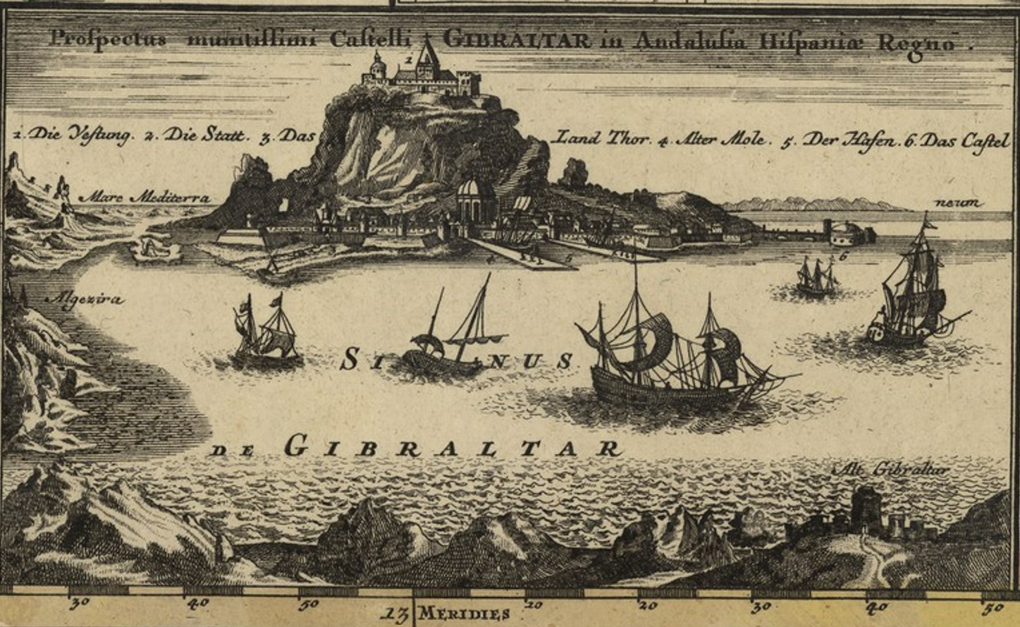 Miniatura de la imagen de la cartela