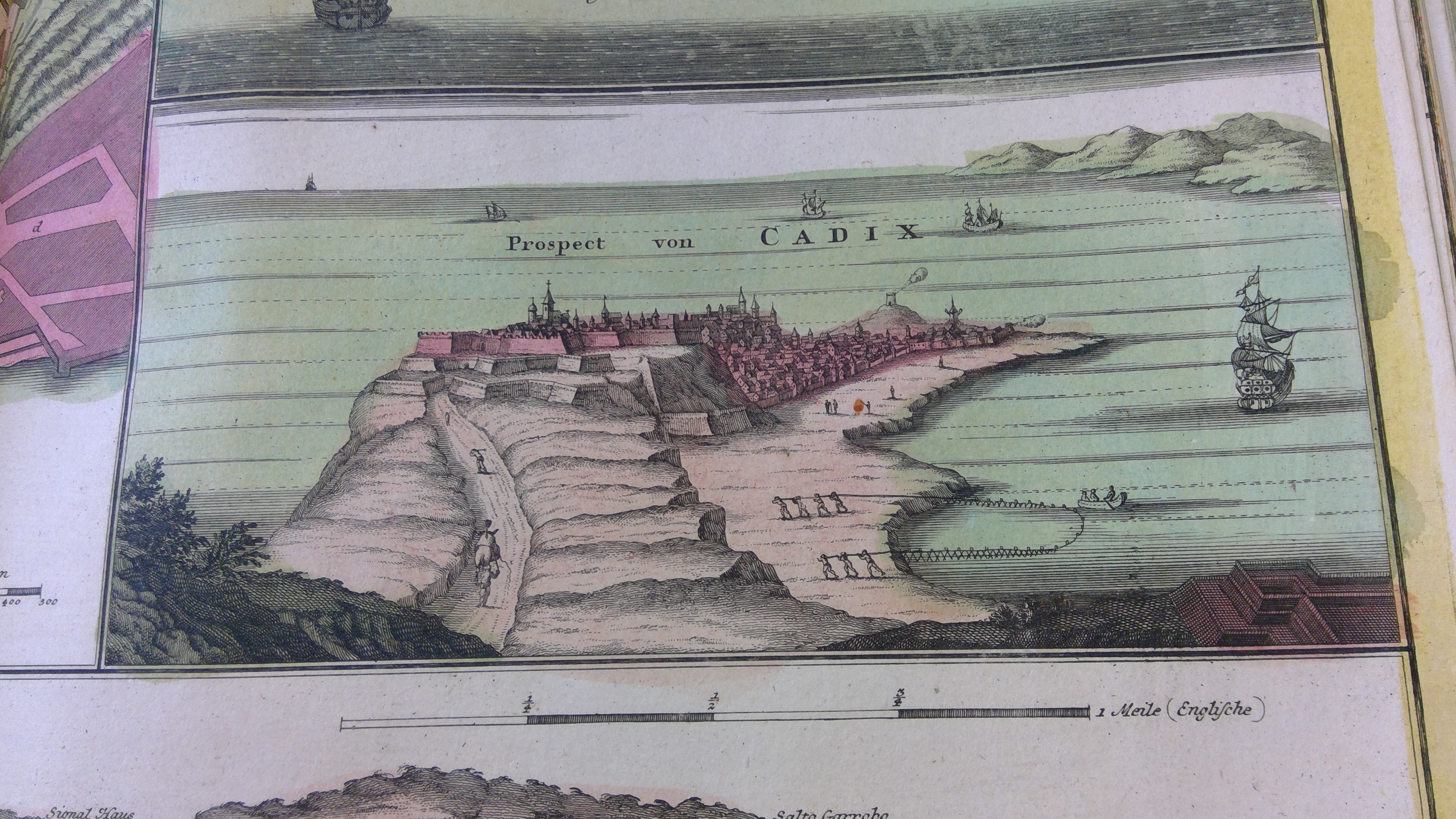 Miniatura de la imagen de la cartela