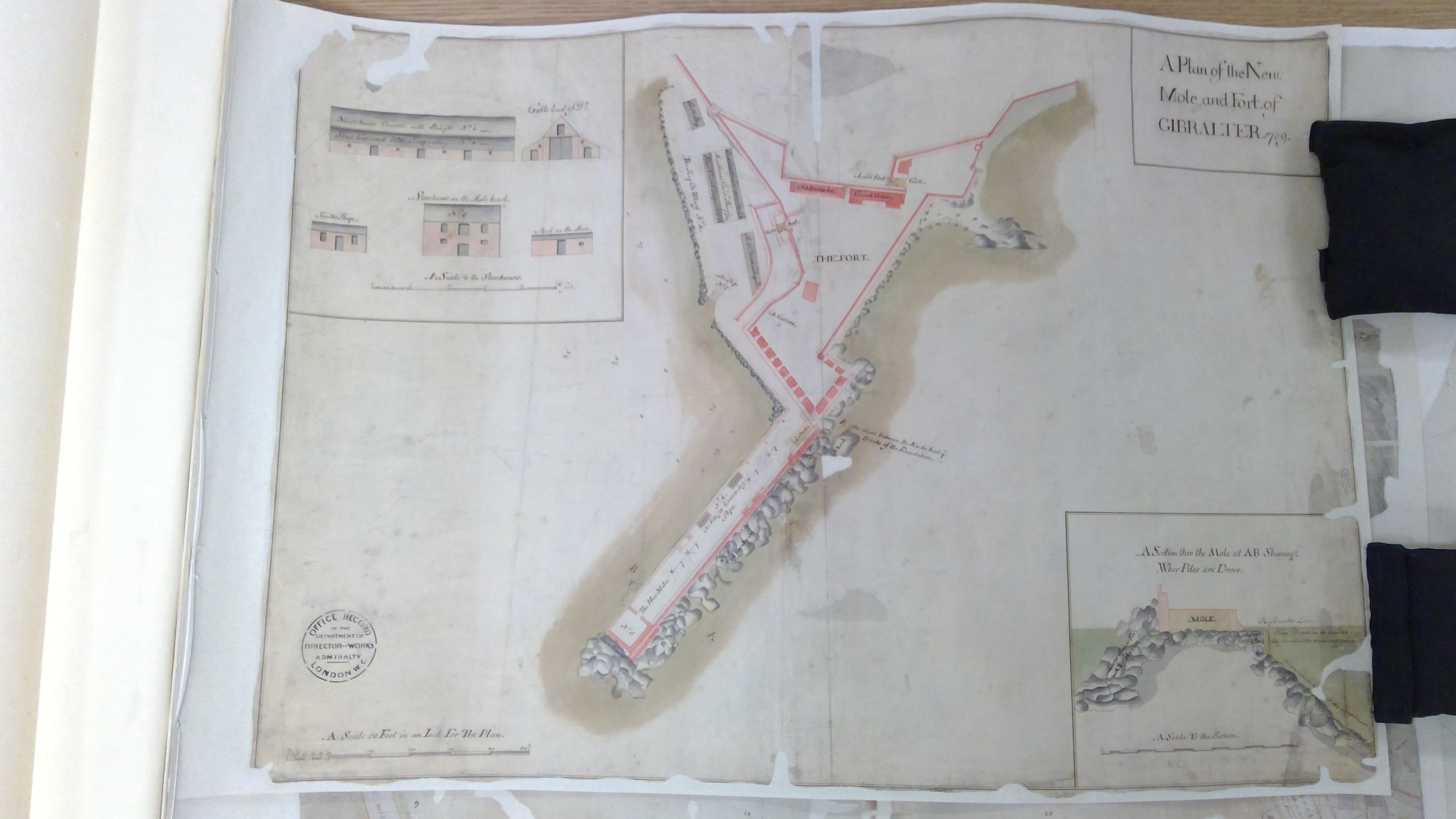 Miniatura de la imagen de la cartela