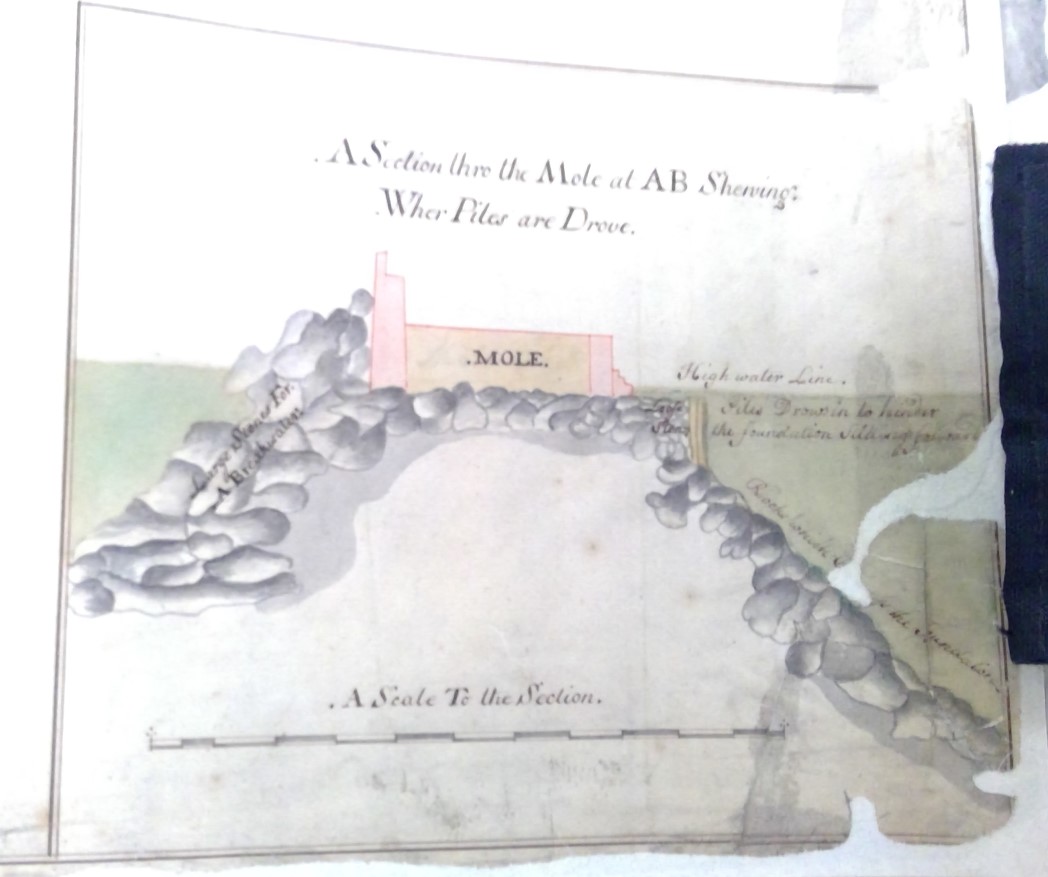Miniatura de la imagen de la cartela