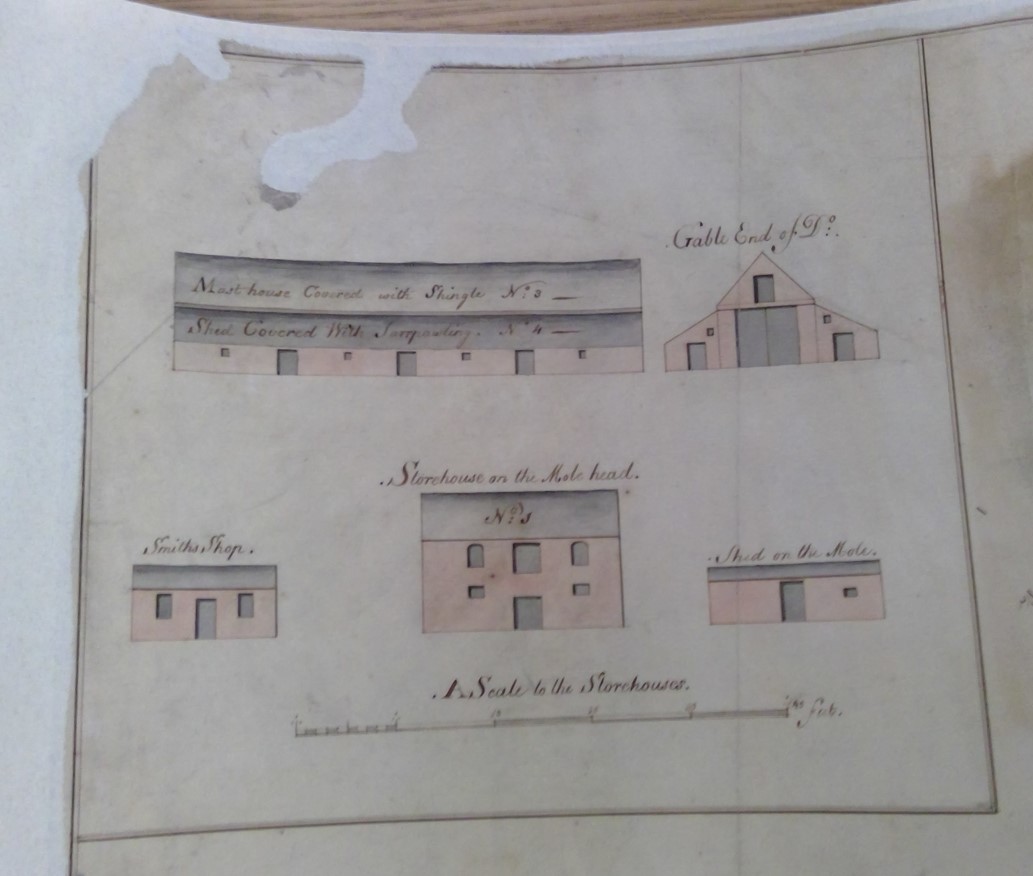 Miniatura de la imagen de la cartela