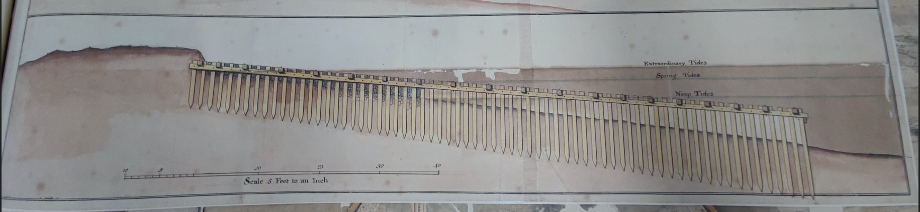 Miniatura de la imagen de la cartela